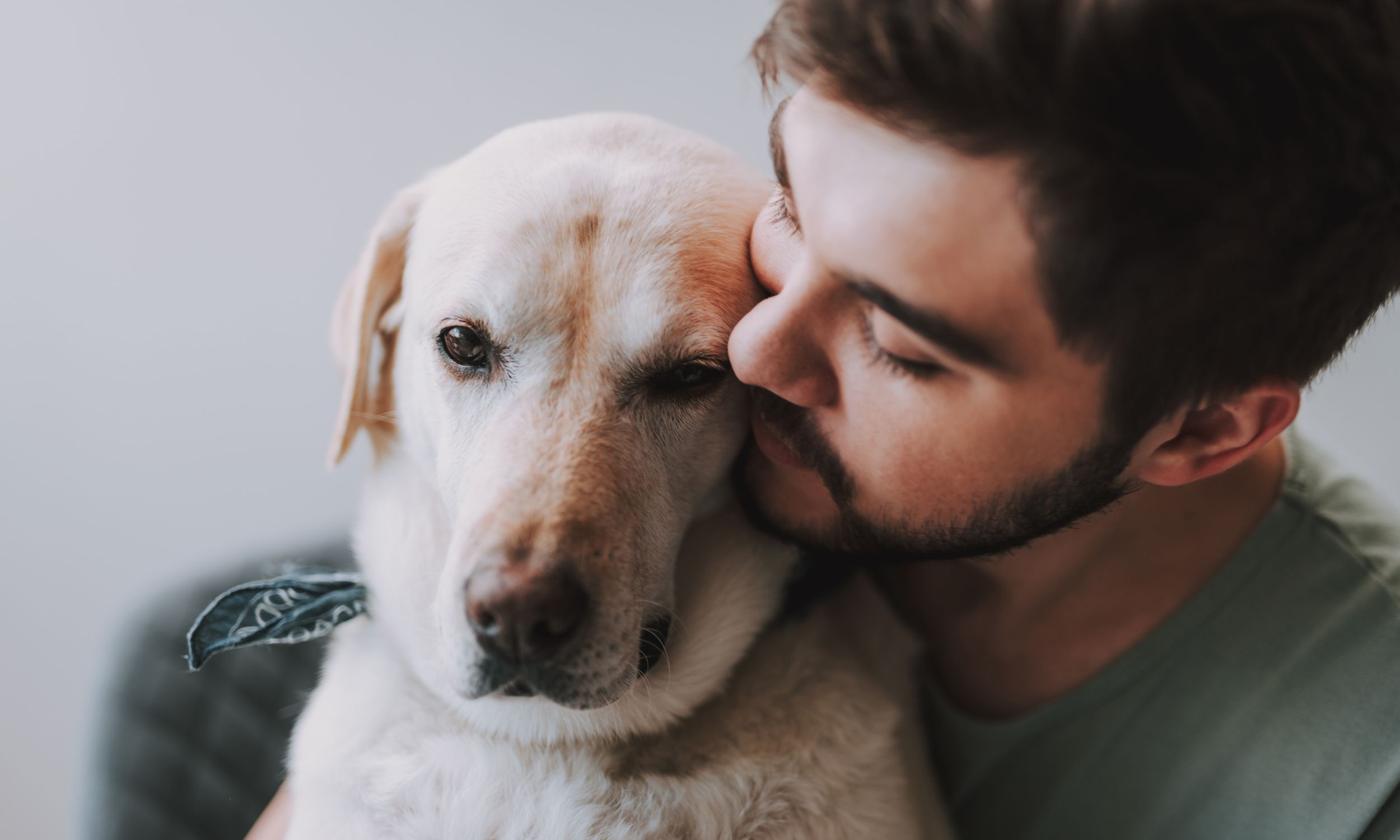 L'euthanasie est, paradoxalement, la dernière preuve d’amour que les maîtres peuvent offrir à leur compagnon. ©Yakobchuk Olena, Adobe Stock